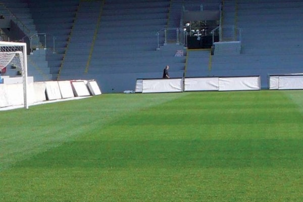 Trávníková hnojiva profi fotbal