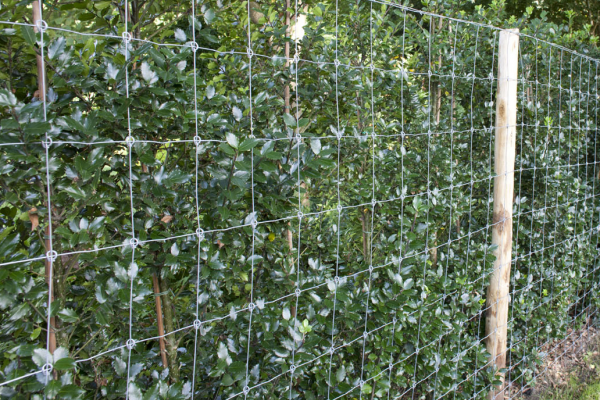 STOCKFENCE