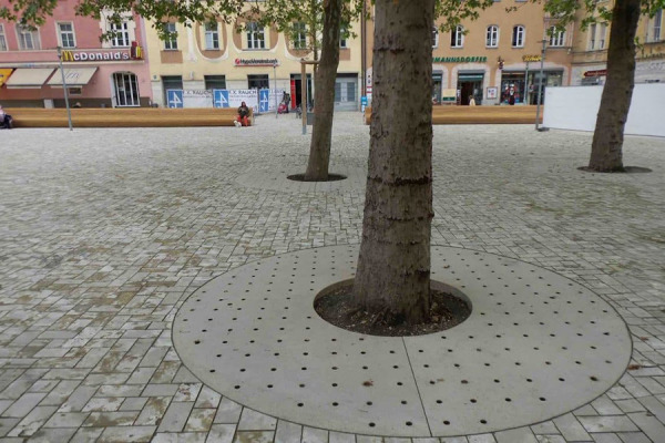 Ochrana stromu Zamila