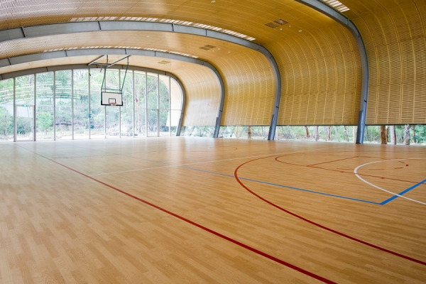 Sport