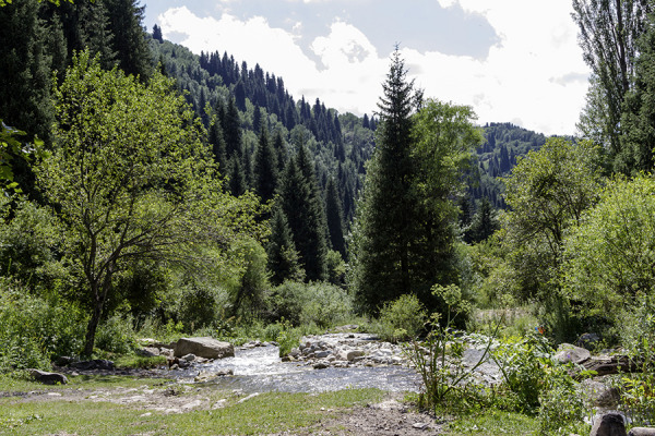 Hansa Eco Zelená budova