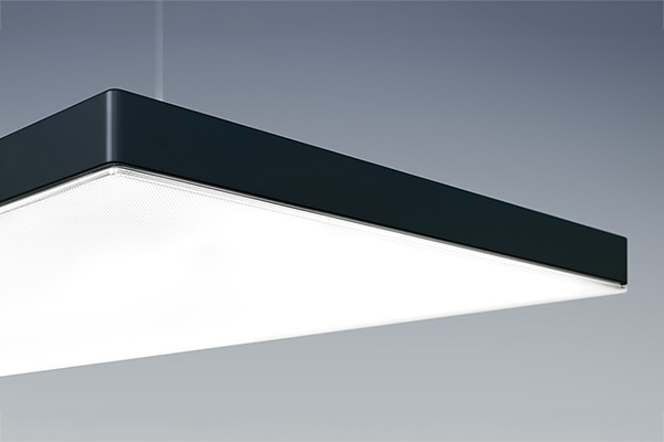 LIGHT FIELDS III