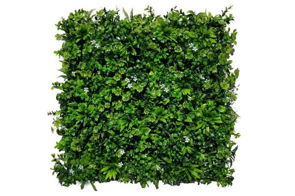 Panel Sedum White