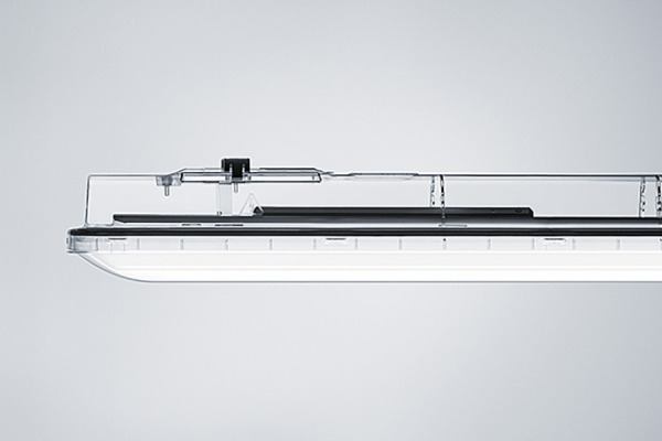 AMPHIBIA PC