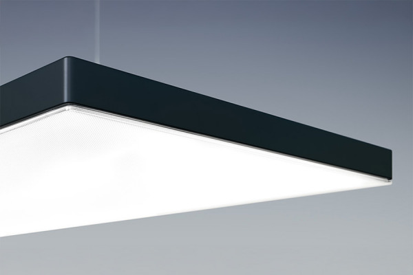 LIGHT FIELDS III